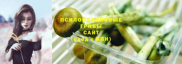 дурь Верея