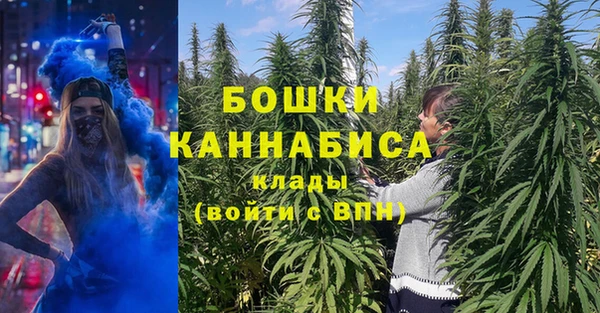 дурь Верея